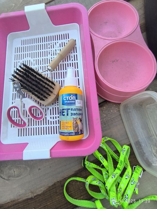 Животные , лоток ножницы