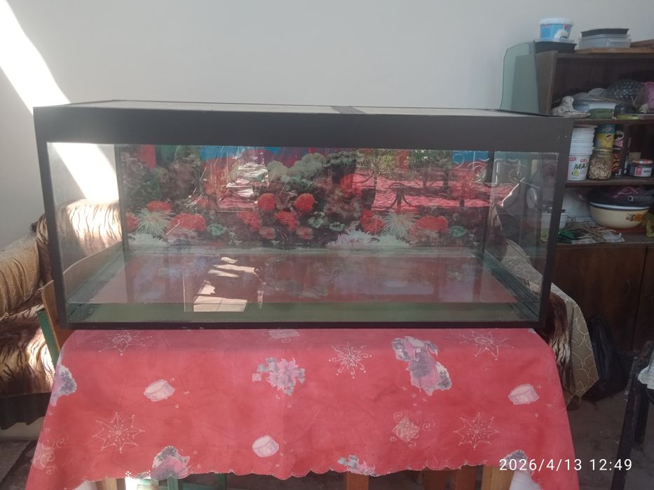 АКВАРИУМ 150 литров.