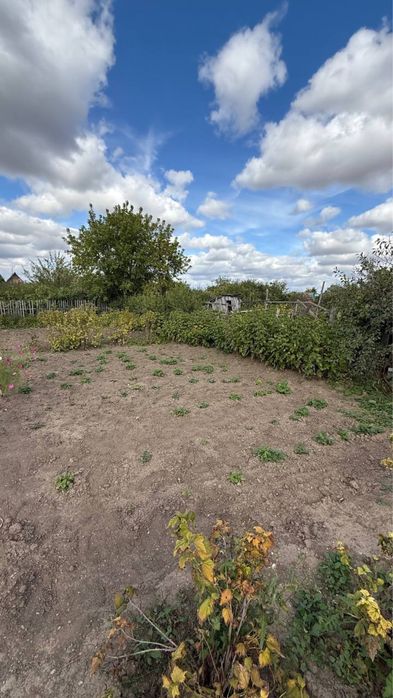 Продаю дачу в обществе Алма