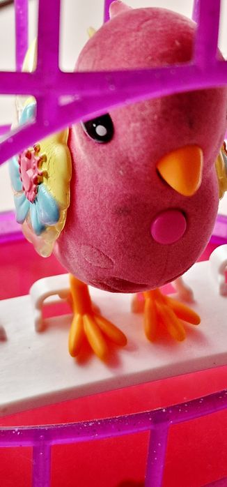 Pasare Little Live Pets