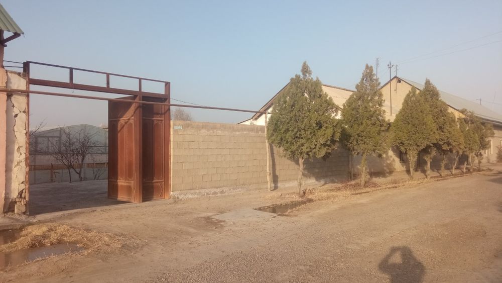 Todon mahallada Issiqxona va uchastka uchun móljallanga hujjatlari joy