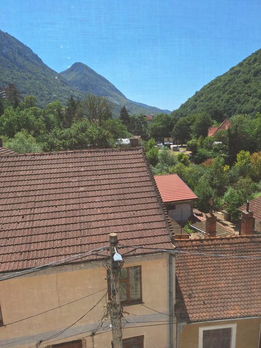 Apartament 3 camere