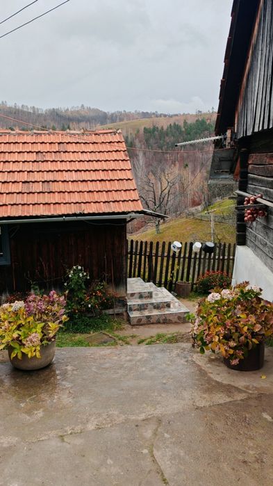Vând casă locuibilă cu teren aferent  în Satul Alun(Comuna Boșorod)