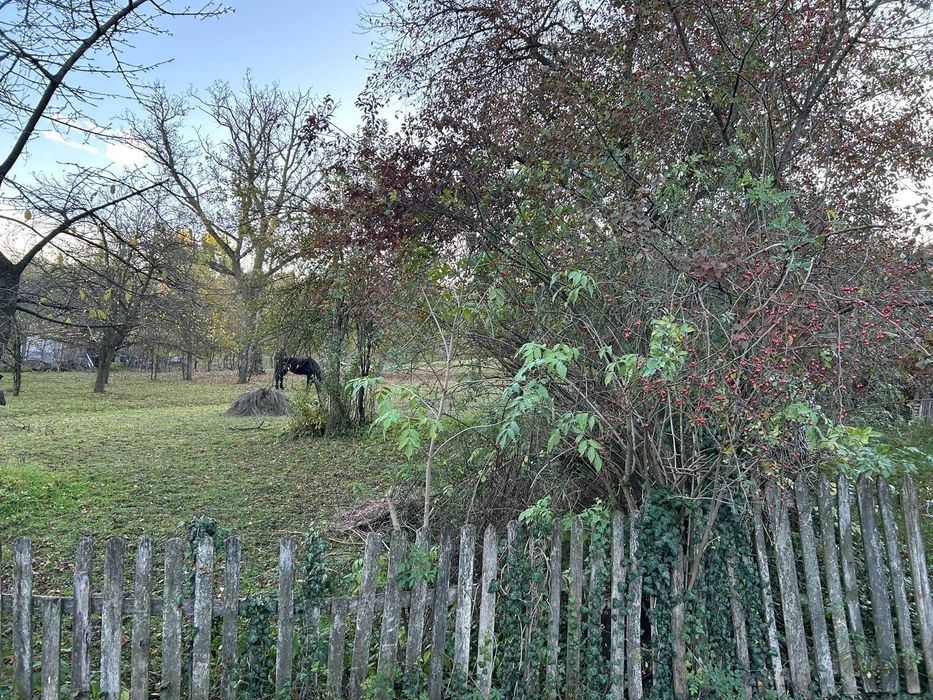 Vand teren intravilan 2050mp in Izvoarele, Prahova