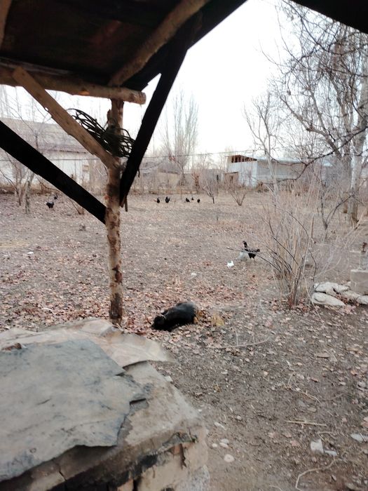 Срочно продам землю