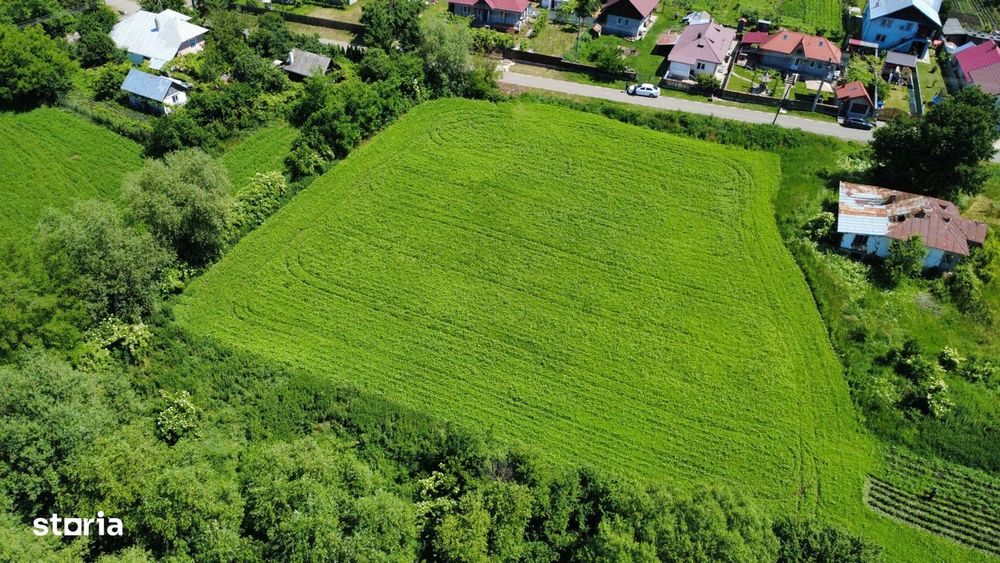 Teren intravilan de vanzare