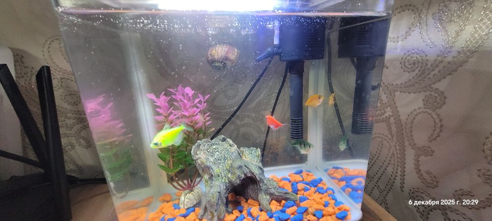 Продам аквариум с рыбками.