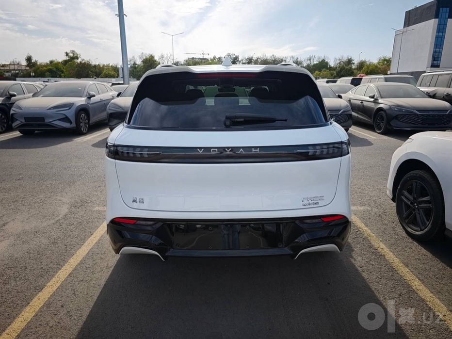 Voyah Free 318 Apollo Tech 2024