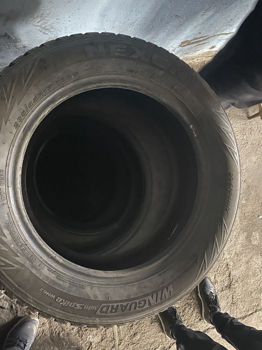 Болоны зимний на 17