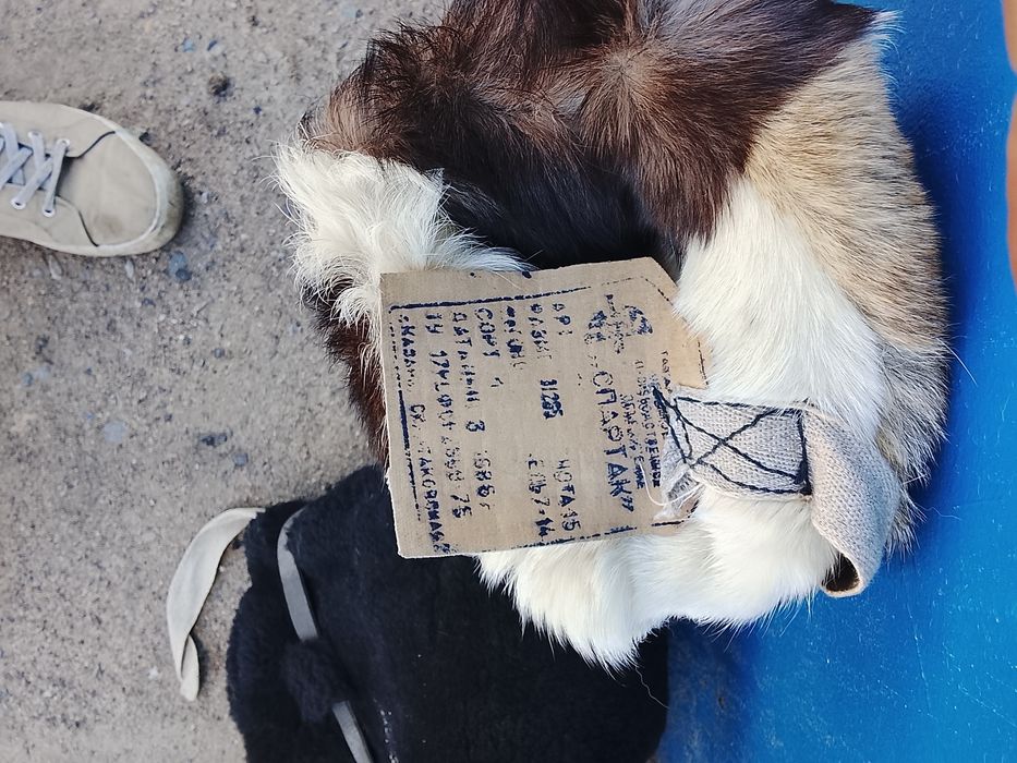 Унты Спартак б/у