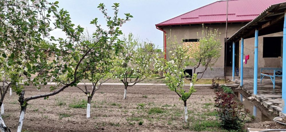 Дом 6 ти комнатная и 6 ти комнатная