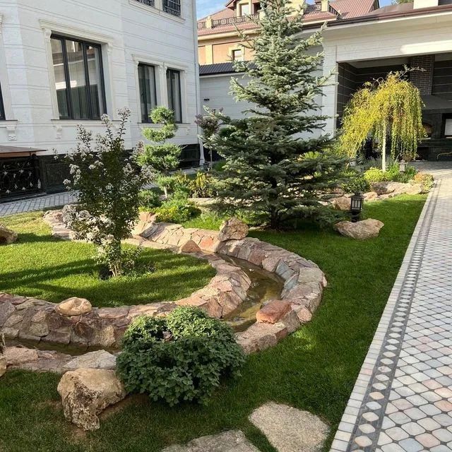 Газон екиш хизмати tayyor gazon Gazon optom