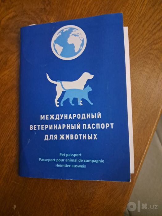Сотилади жуда акили