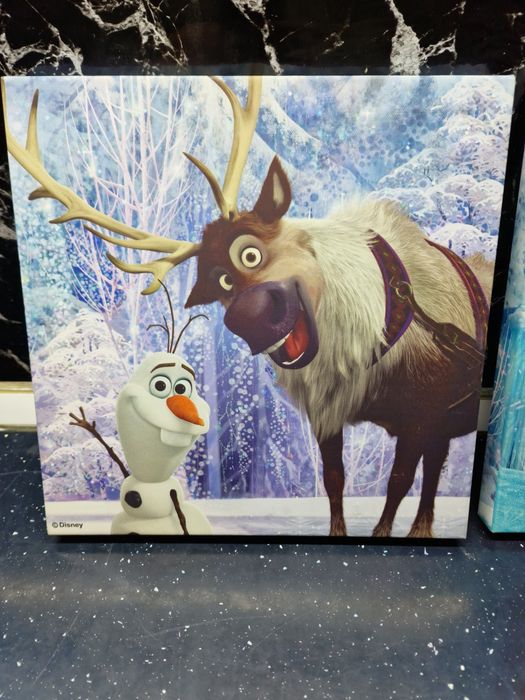 Tablou tablouri Elsa frozen