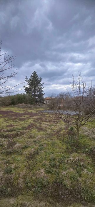 Къща с голям двор в село Добри дял