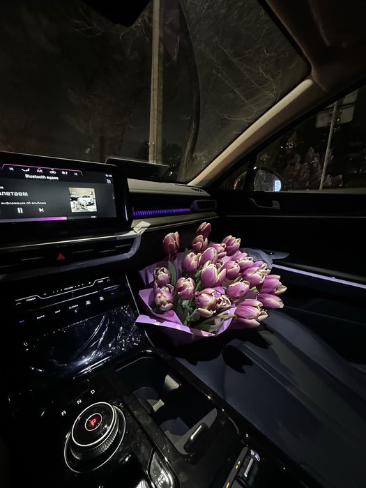 Тюльпан 25 штук гарантия