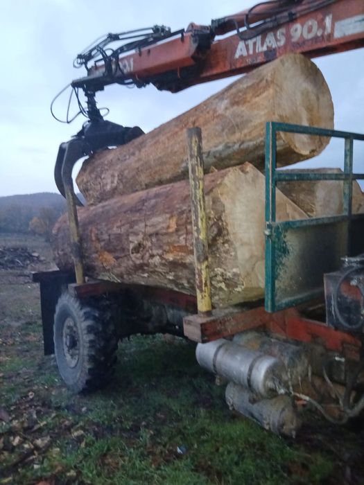 Vand lemn foc stejar