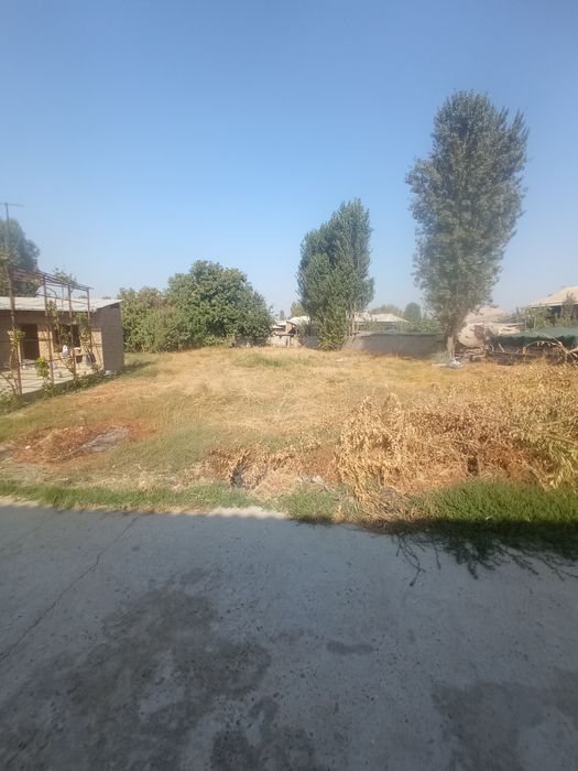 10 sotik uchastka (yer)  sotiladi