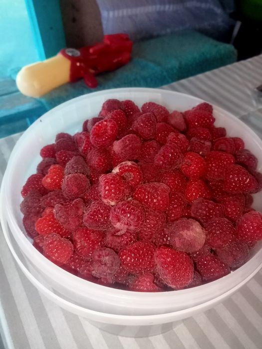 Продам дачную малину