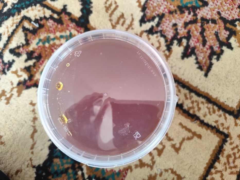 Майский горный Лепсинский мед