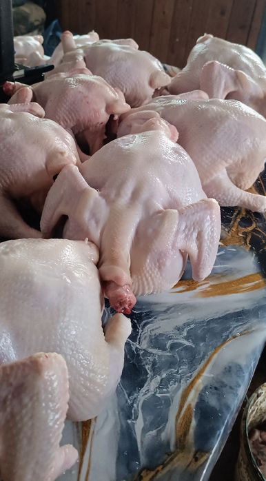 Продам тушки домашнего бройлера