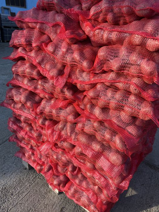 Cartof rosu de consum