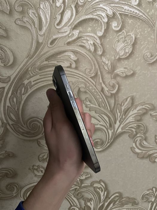 iPhone 12 Pro Max 512Gb Srocno!!!