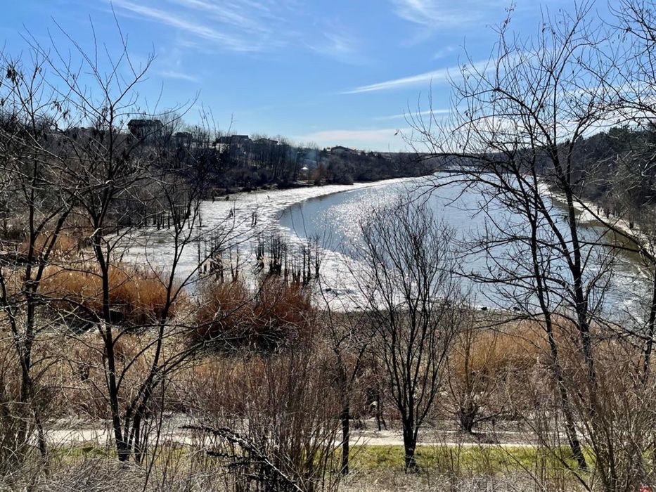 Teren Branesti cu deschidere la lac aproape de padure