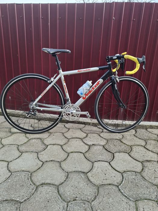Cursiera Campagnolo Vektor