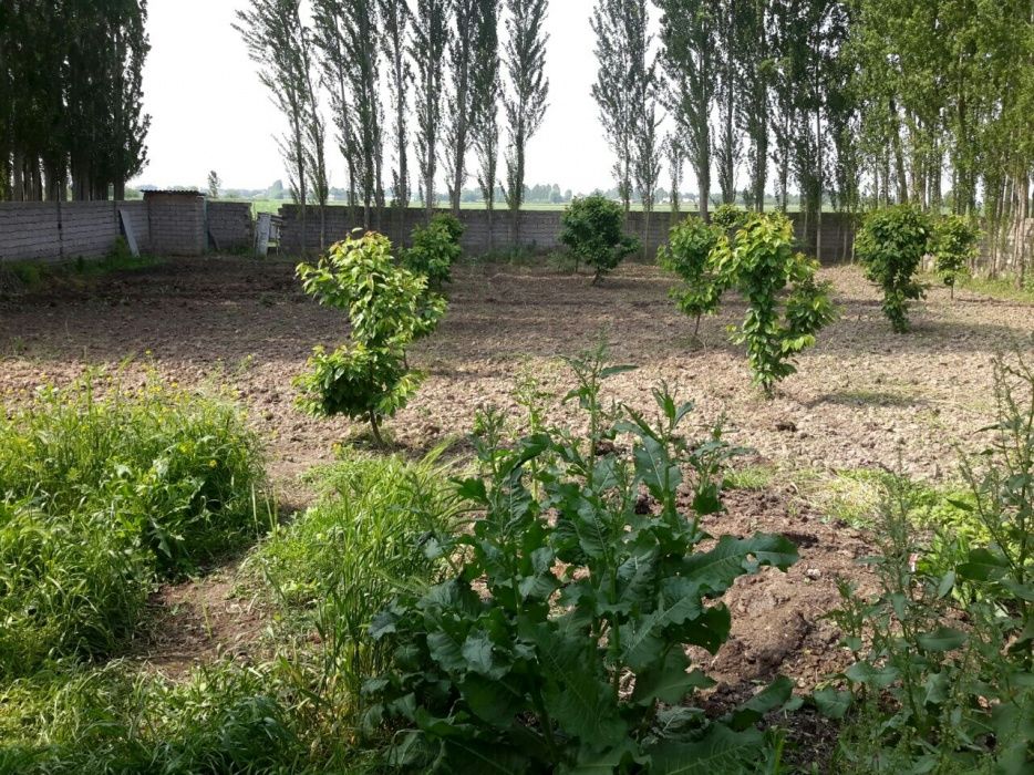 Участок , дом , новый Узбекистан и  новый Ташкент