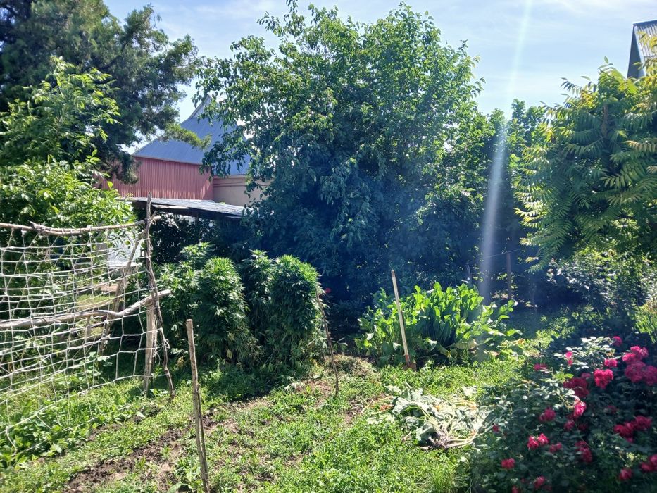 Үлкен Үй сатылады орталықта