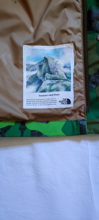 The North Face Printed DryVent  Mountain Parka Mens