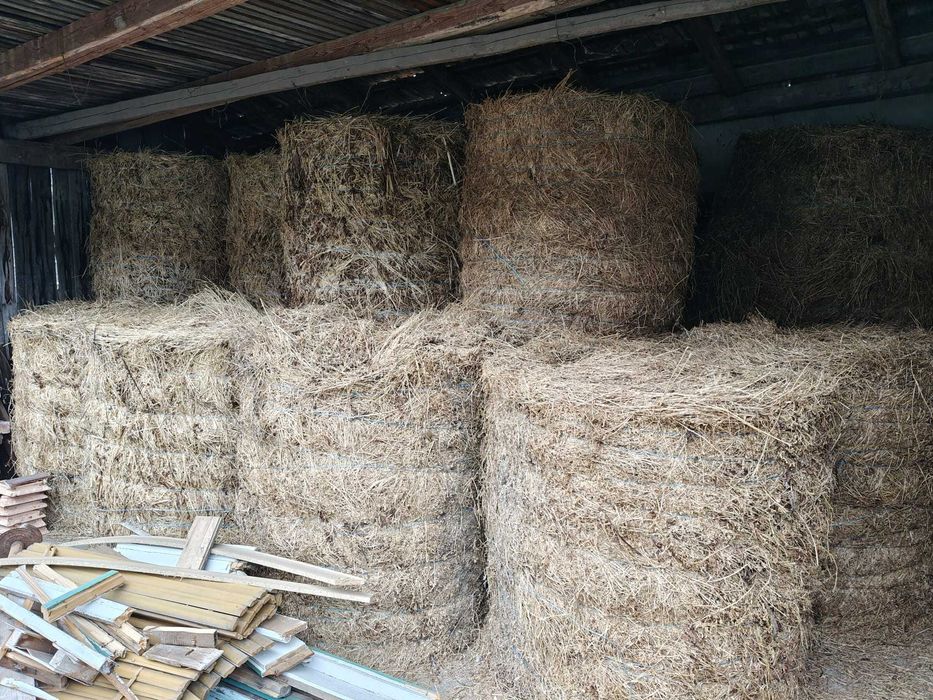 Vand baloti lucerna 2025 120x120