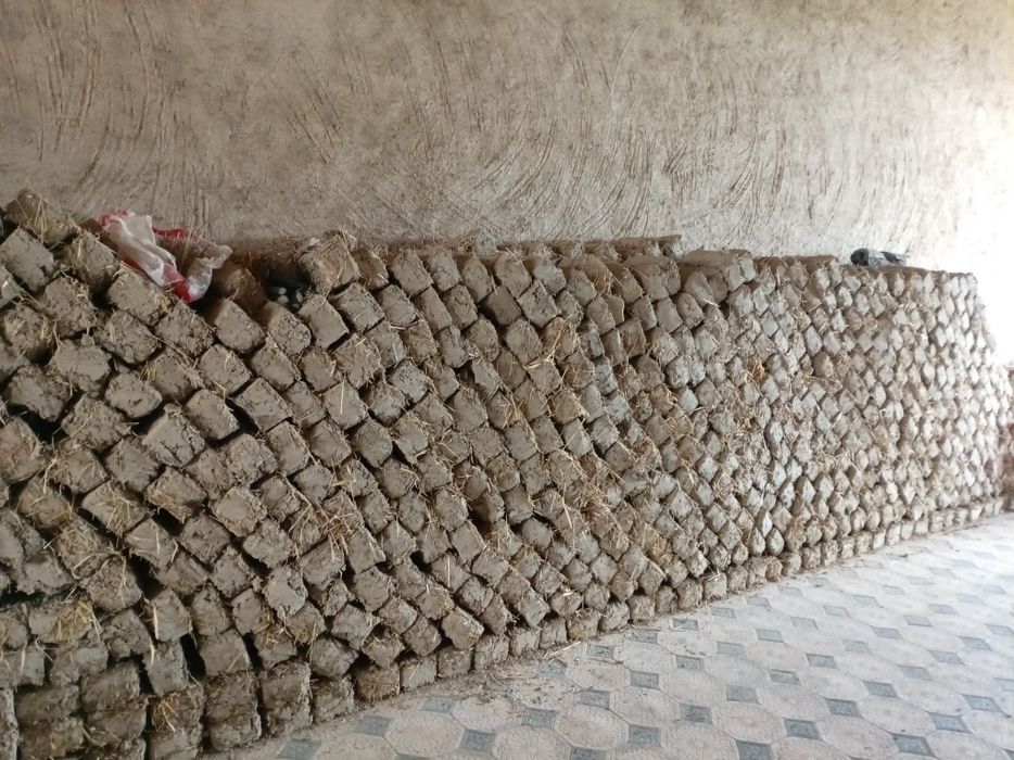 Лой гишт сотилади