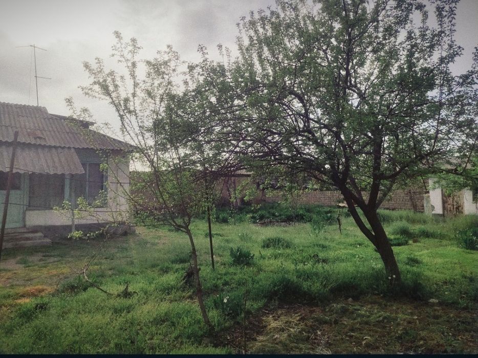 Hovli Bo'ka tumanida Guliston MFY