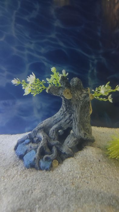 Akvarium uchun bezaklar