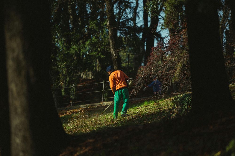 Îngrijire Profesională Grădini în Iași – Evaluare Gratuită!