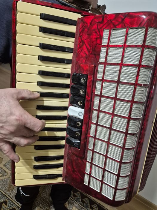 Vand Acordeon Parrot