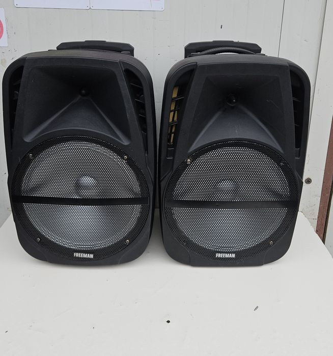 Set boxe Freeman de 12" pasive.