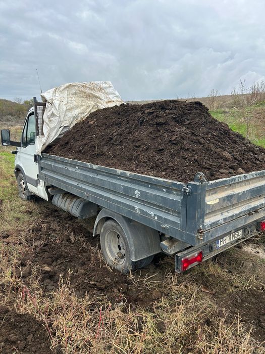 Inchiriez miniexcavator