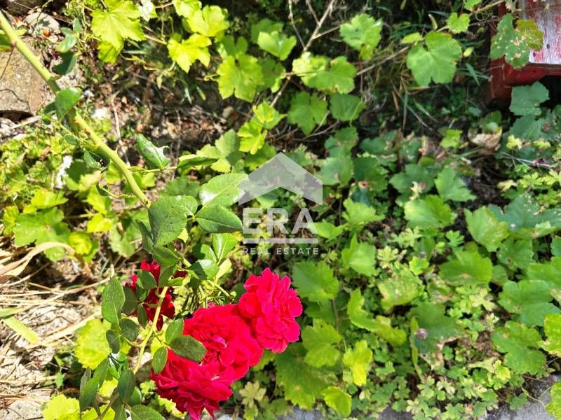 Продава се Къща в с. Червена вода, Област Русе - 105 кв.м за 472 €/кв.м - Снимка #10