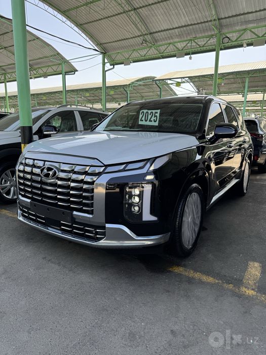 Palisade 2025 ideal xolata