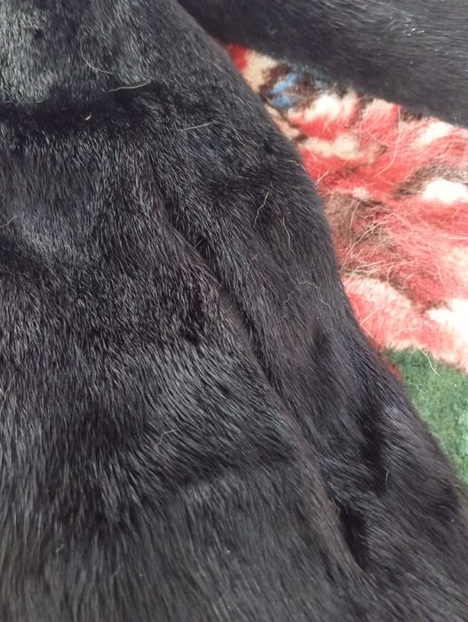 Продам норковую шубу