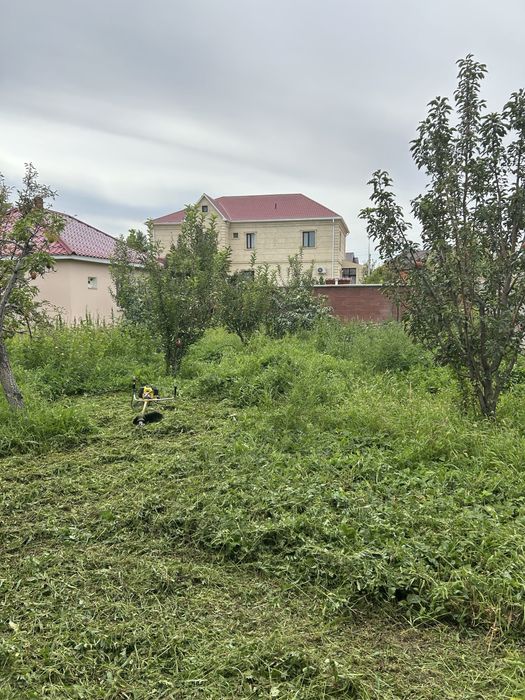 Шоп шабу триммермен