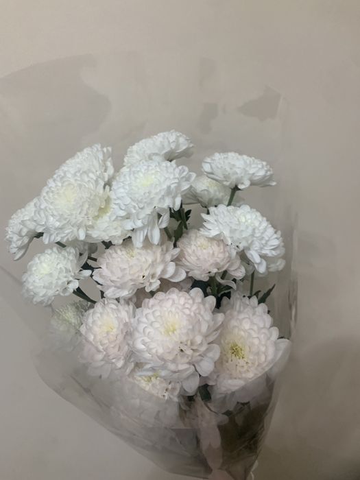 3 ветки белоснежные цветы