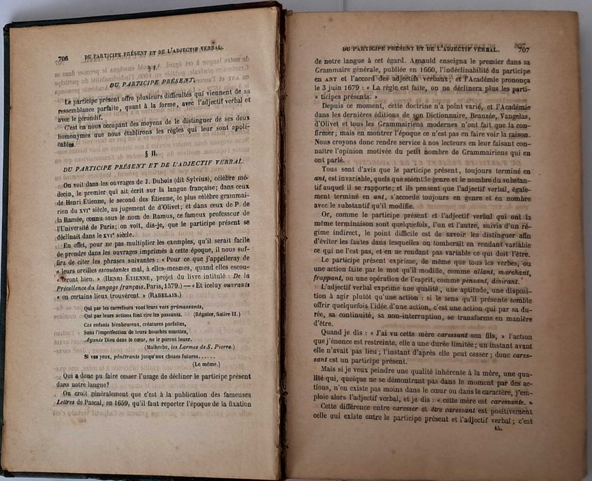 Grammaire des Grammaires ou analyse raisonnée des Meilleurs Traités sur la Langue Française
