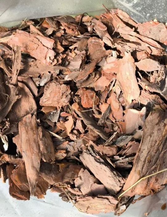 Кора лиственницы