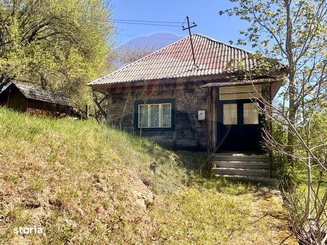Casa traditionala,teren 6.039 mp DESESTI Maramures