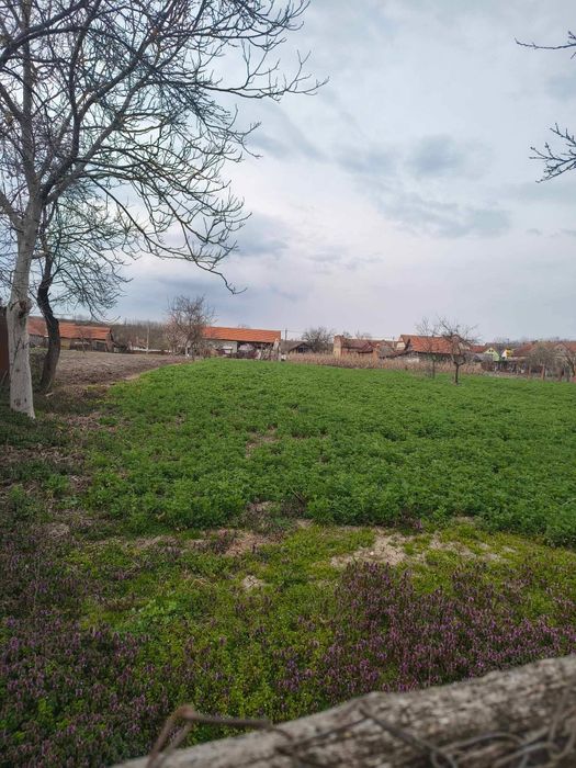 Casă de vânzare Cutina