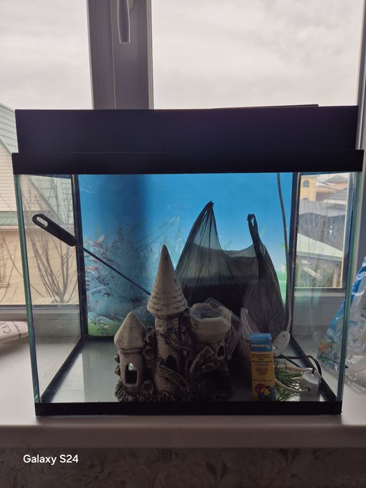 Продам аквариум, и со всеми аксессуарами